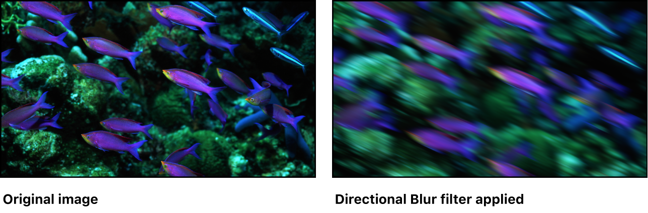 Canvas showing effect of Directional Blur filter