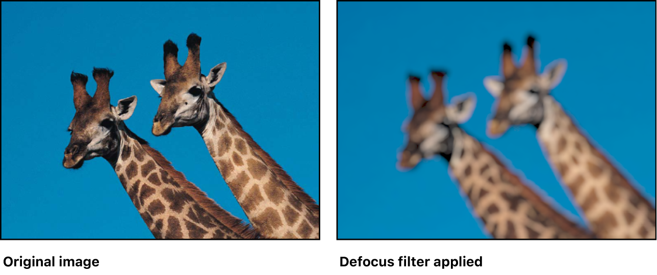 Canvas showing effect of Defocus filter