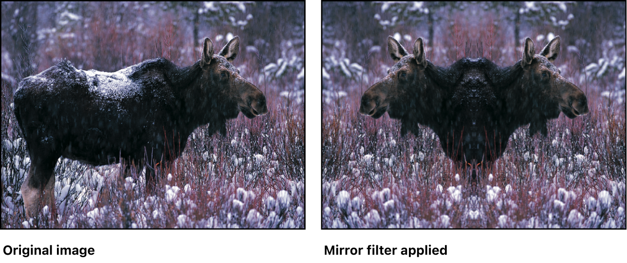 Canvas showing effect of Mirror filter