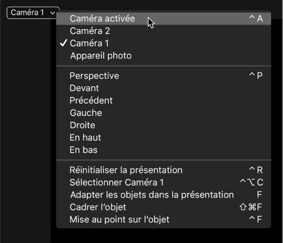 Sélection de Caméra active dans le menu local Caméra du canevas