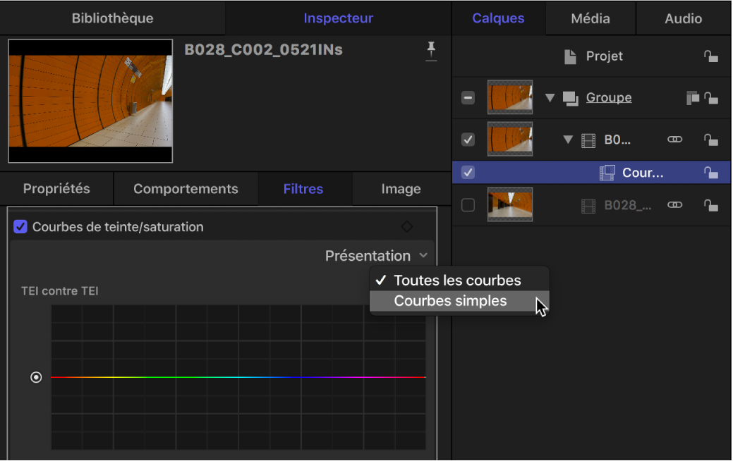 Options d’affichage dans le menu local Présentation des courbes de teinte/saturation au sein de l’inspecteur de filtres
