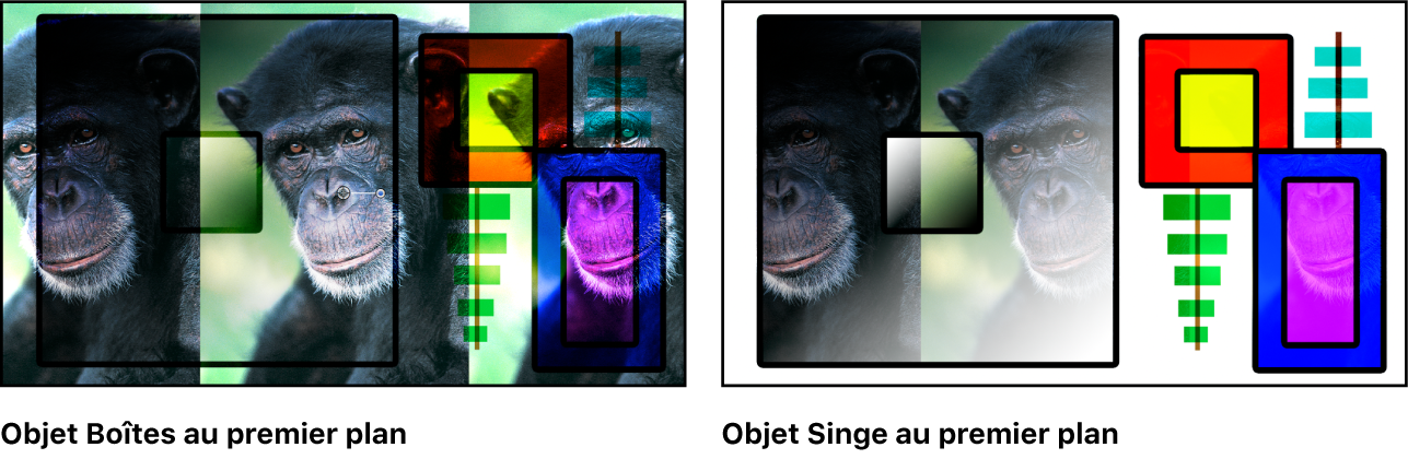 Canevas affichant les boîtes et le singe fusionnés à l’aide du mode Superposition