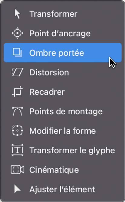 Sélection de l’outil Ombre portée dans le menu local des outils de transformation