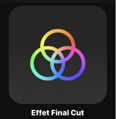 Icône d’effet Final Cut dans le navigateur de projets