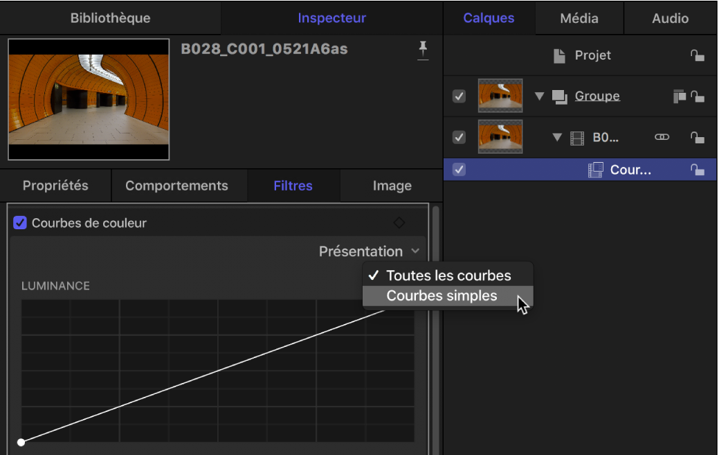 Options d’affichage dans le menu local Affichage des courbes de couleur dans l’inspecteur de filtres