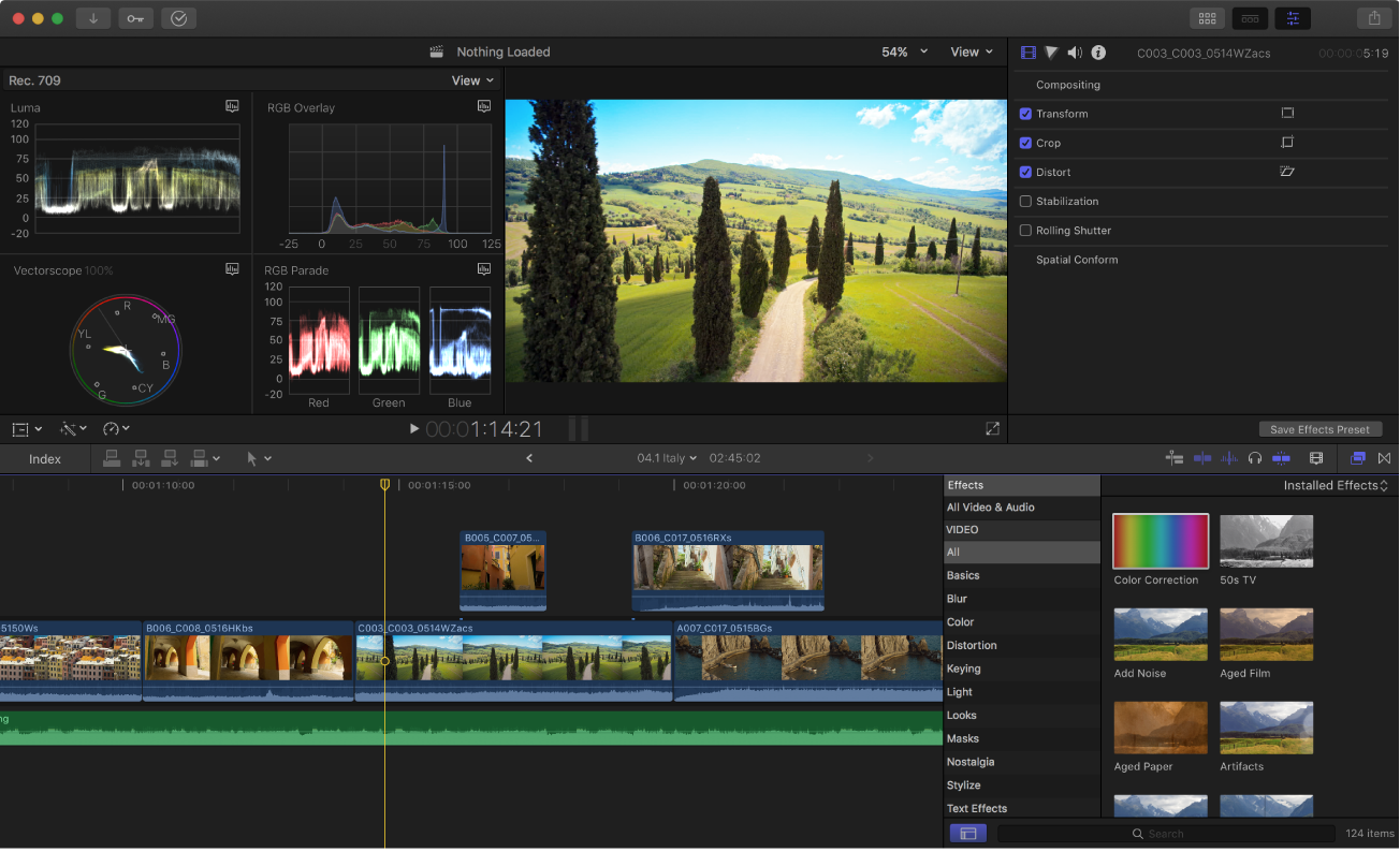 The Final Cut Pro main window showing the video scopes display, the viewer, the inspector, the timeline, and the Effects browser