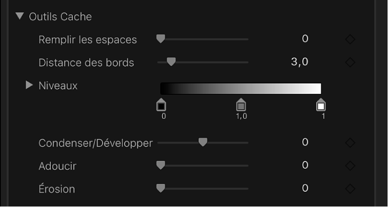 Commandes Outils Cache dans l’inspecteur vidéo