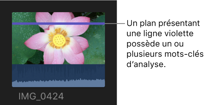 Plan présentant un trait violet indiquant qu’un ou plusieurs mots-clés d’analyse ont été appliqués