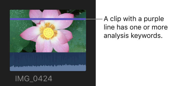 하나 이상의 분석 키워드가 적용되었음을 표시하는 보라색 선의 클립