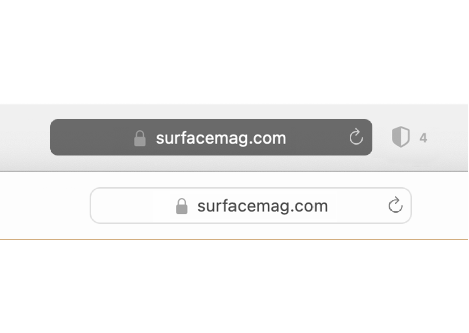 A normal Safari window on a Mac with its light Smart Search field, and a private Safari window with its dark Smart Search field.