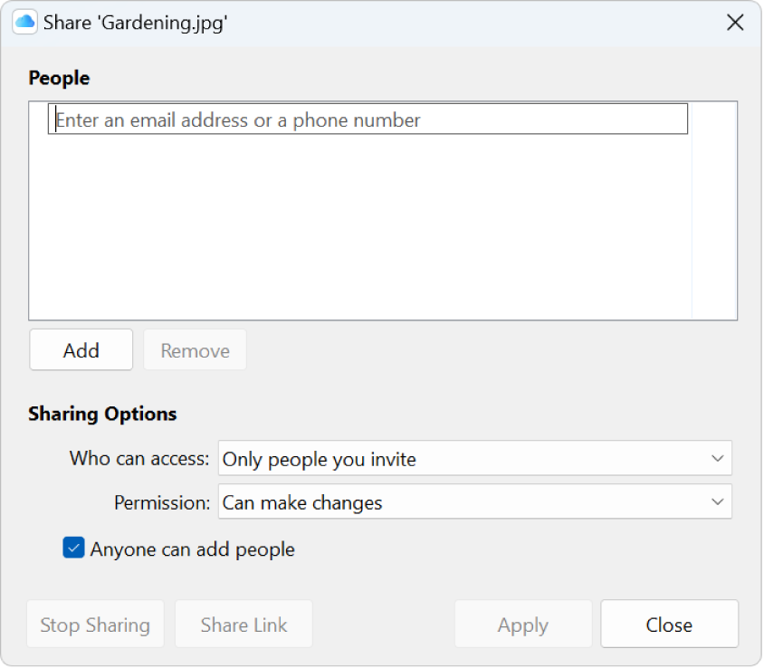 The share options window for iCloud Drive.