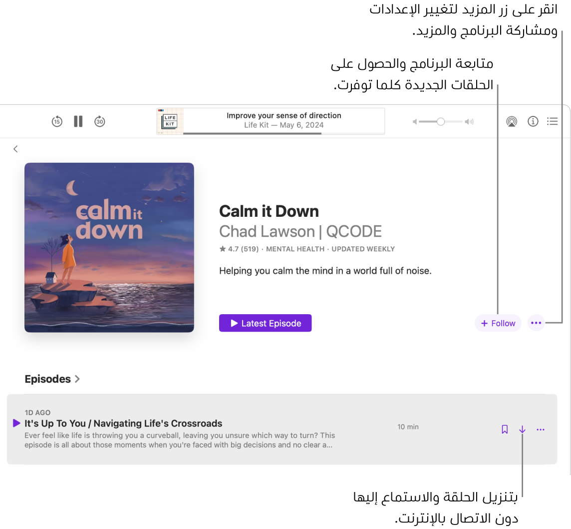 نافذة من تطبيق البودكاست تظهر بها حلقة بودكاست. تشير وسائل الشرح إلى أزرار "تنزيل" و"متابعة" و"المزيد".