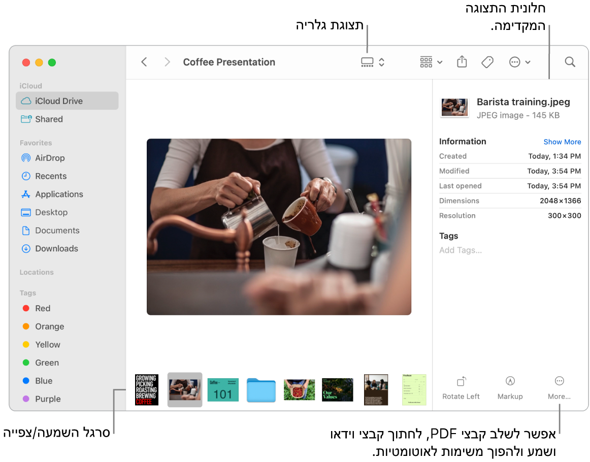 חלון Finder הפתוח ב״תצוגת גלריה״ ומציג תמונה גדולה ומתחתיה שורה של תמונות קטנות יותר - פס הגלילה לניווט. פקדים לסיבוב, לסימון ולפעולות נוספות מופיעים מימין לפס הגלילה לניווט.