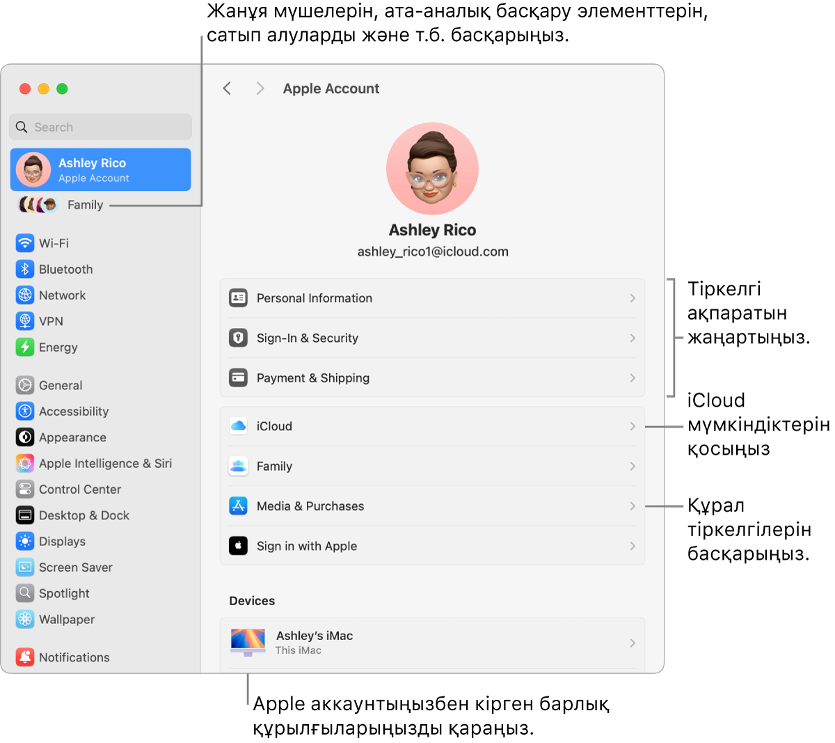 Аккаунт ақпаратын жаңарту, iCloud мүмкіндіктерін қосу немесе өшіру, медиа аккаунттарын басқару үшін тілше деректері бар System Settings терезесіндегі және ішінде отбасы мүшелерін, ата-аналық бақылауларды, сатып алуларды және т.б. басқаруға болатын Family терезесіндегі Apple аккаунтының параметрлері.