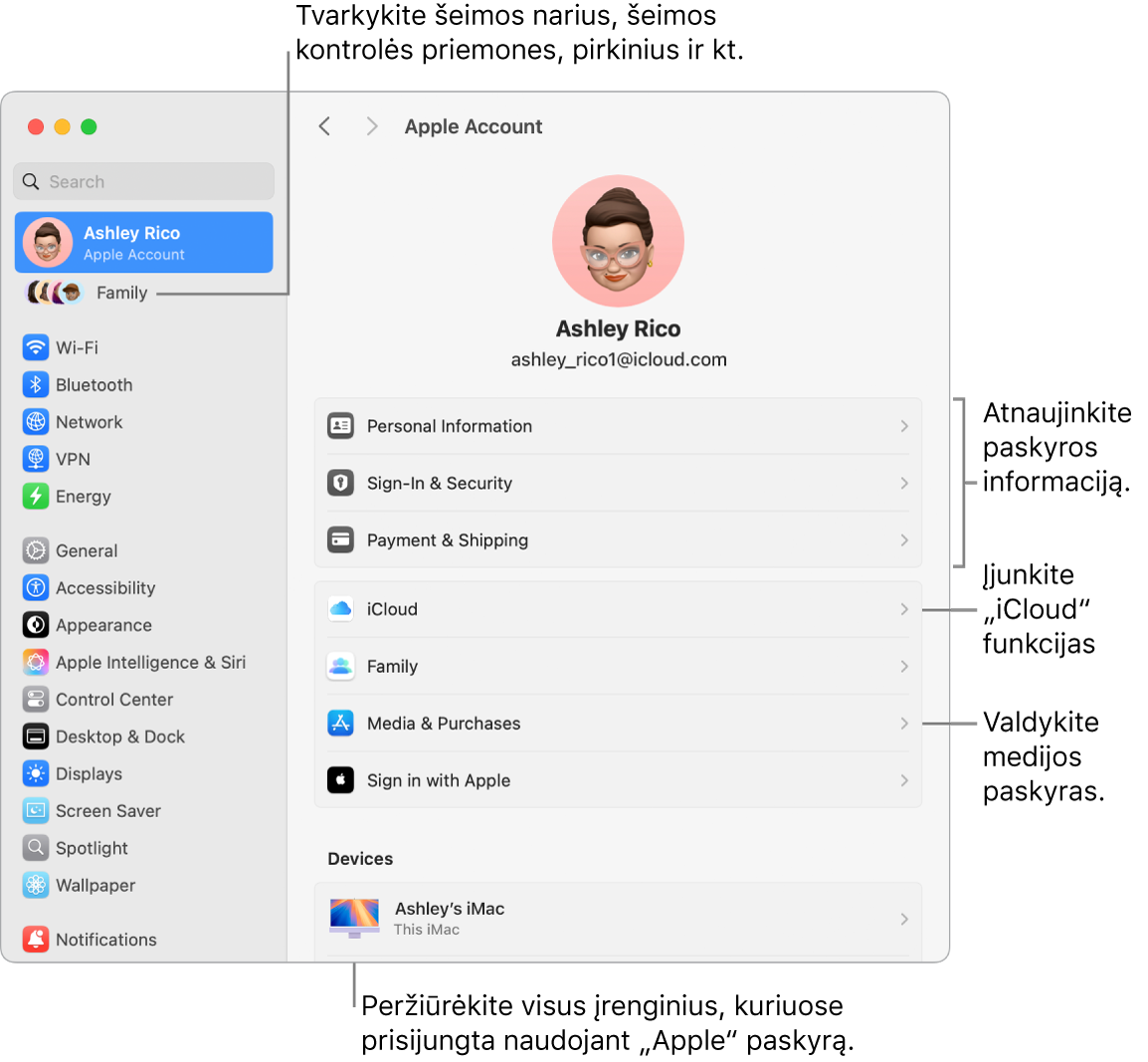 Skiltyje „Sistemos nustatymai“ pateikiami „Apple“ paskyros nustatymai su šaukiniais, skirtais atnaujinti paskyros informaciją, įjungti arba išjungti „iCloud“ funkcijas, tvarkyti medijos paskyras, ir „Šeima“, kur galite tvarkyti šeimos narius, tėvų kontrolę, pirkinius ir kt.