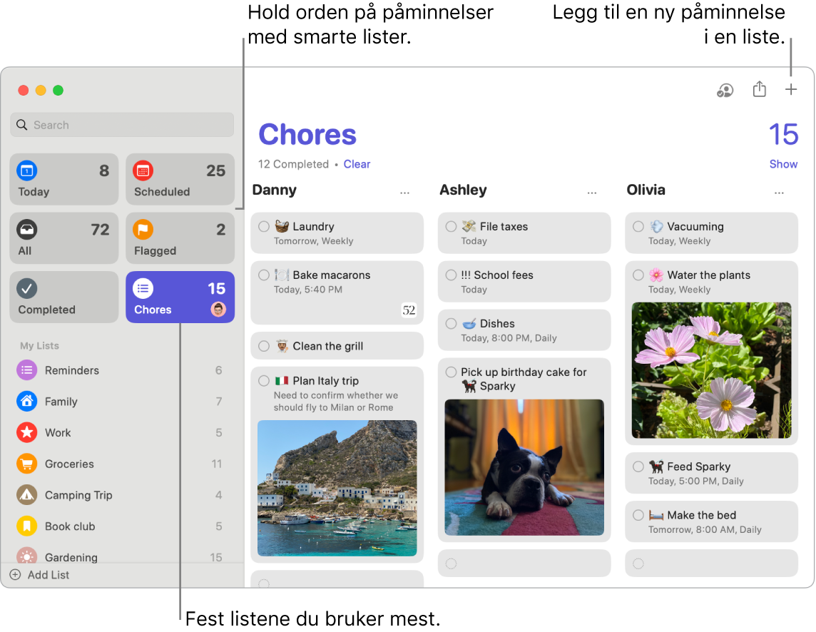 Et Påminnelser-vindu med smarte lister til venstre og andre påminnelser og lister under. Pekeren er i en påminnelse. Det vises bildeforklaringer for smartlister og «Legg til ny påminnelse»-knappen.