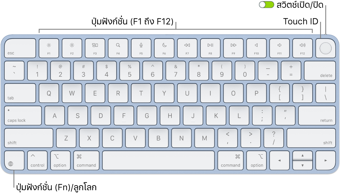 Magic Keyboard ที่มี Touch ID ที่แสดงแถวของปุ่มฟังก์ชั่นและ Touch ID ตลอดแนวด้านบนสุด และปุ่มฟังก์ชั่น (Fn)/ลูกโลกตรงมุมซ้ายล่าง