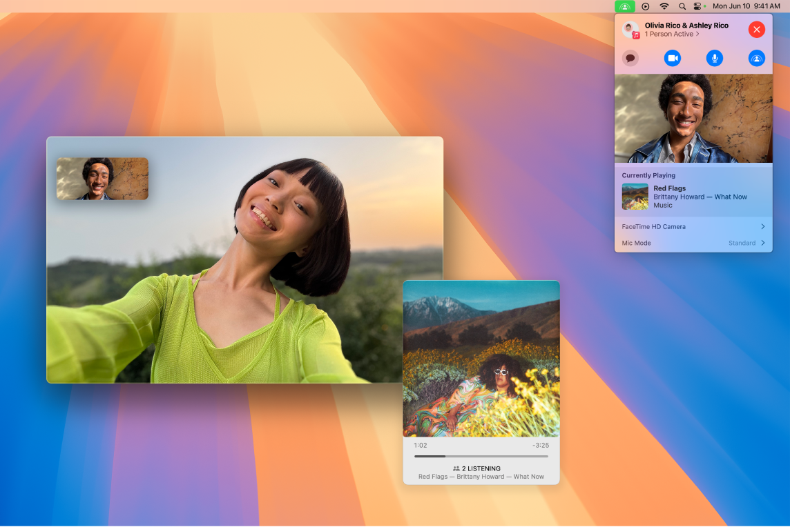 FaceTime 通话窗口显示通话参与者通过同播共享一起聆听专辑。