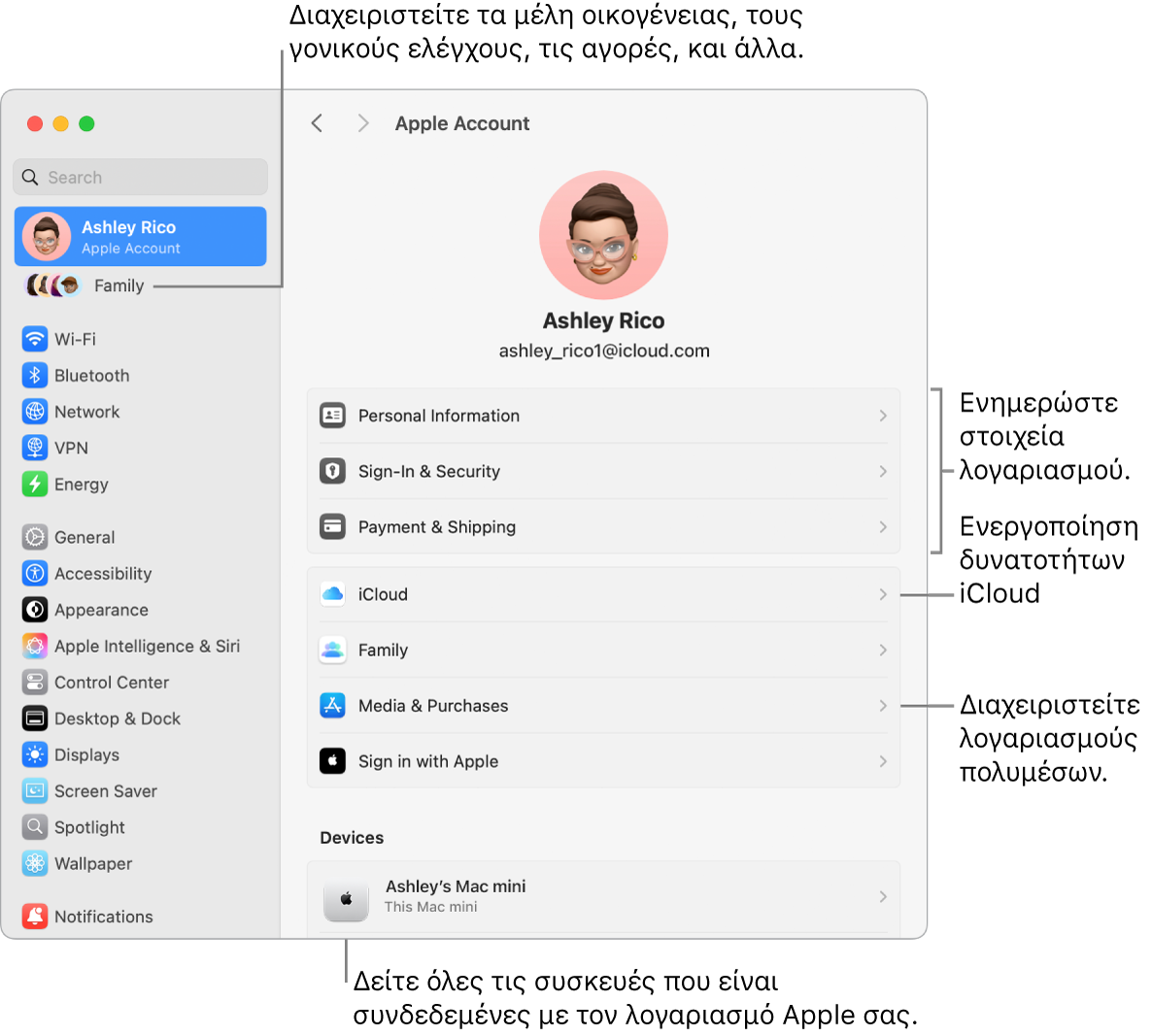 Οι ρυθμίσεις λογαριασμού Apple στις Ρυθμίσεις συστήματος με επεξηγήσεις για ενημέρωση των στοιχείων λογαριασμού, ενεργοποίηση ή απενεργοποίηση δυνατοτήτων iCloud, διαχείριση λογαριασμών πολυμέσων, και η Οικογένεια όπου μπορείτε να διαχειριστείτε τα μέλη οικογένειας, τον γονικό έλεγχο, τις αγορές και πολλά άλλα.