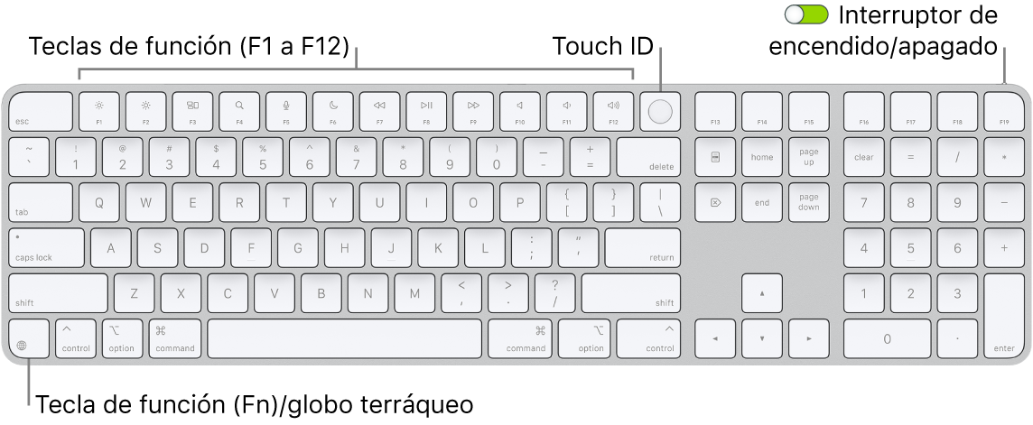 El Magic Keyboard con Touch ID y teclado numérico mostrando la fila de teclas de función con el sensor Touch ID en la parte superior y la tecla de función (Fn)/globo terráqueo a la derecha de la tecla Suprimir.