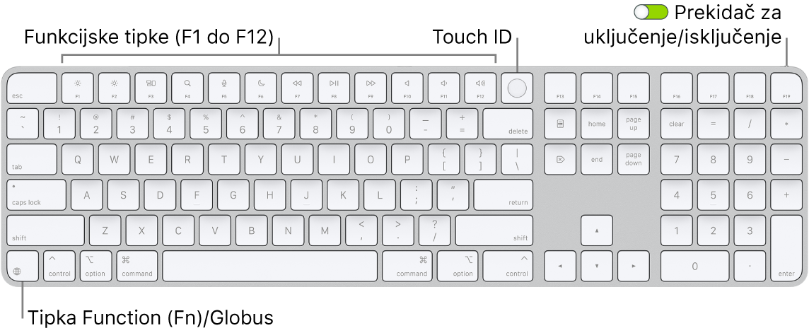 Magic Keyboard s Touch ID-jem i numeričkom tipkovnicom na kojem se vidi red funkcijskih tipki i Touch ID na vrhu i tipka Funkcija (Fn)/Globus s desne strane tipke Delete.