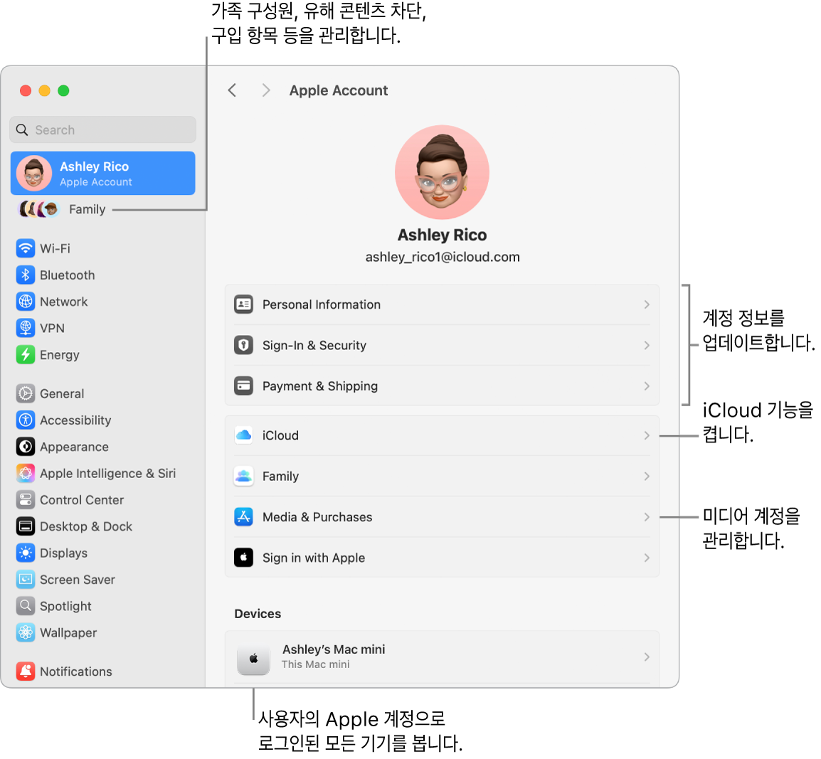 계정 정보 업데이트, iCloud 기능 켜기 또는 끄기, 미디어 계정 관리 및 가족 구성원, 유해 콘텐츠 차단, 구입 항목 등을 관리할 수 있는 가족에 대한 설명이 있는 시스템 설정의 Apple 계정 설정.