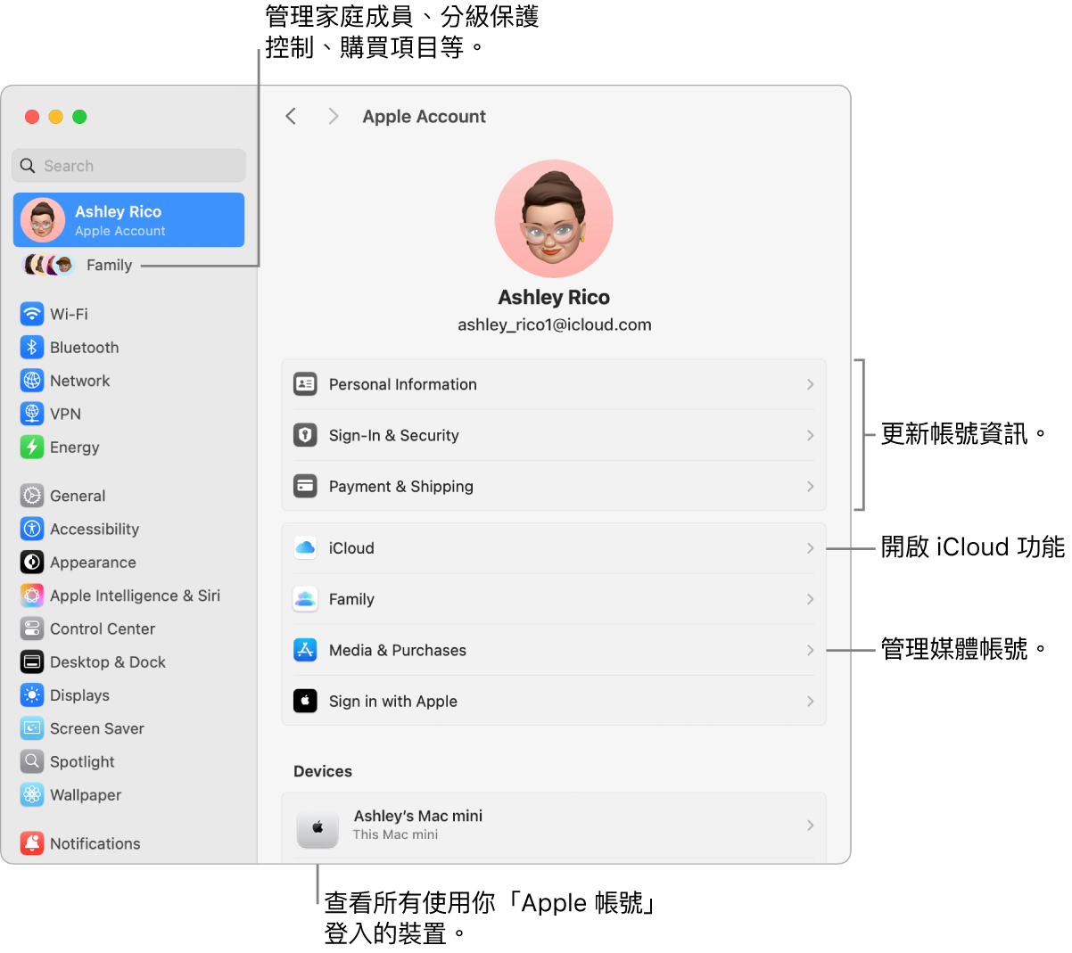 「系統設定」中的「Apple 帳號」設定包含更新帳號資訊、開啟或關閉 iCloud 功能、管理媒體帳號以及可管理家庭成員、分級保護控制、購買項目和更多內容的「家人共享」的說明框。