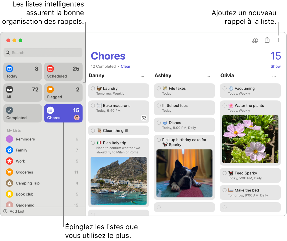 Fenêtre de Rappels avec des listes intelligentes sur la gauche, et d’autres rappels et listes en dessous. Le pointeur se trouve sur un rappel. Les listes intelligentes et le bouton « Ajouter un nouveau rappel » sont accompagnés de légendes.