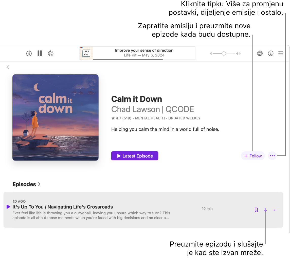 U prozoru Podcasti prikazuje se epizoda podcasta. Oblačići pokazuju na tipke Preuzmi, Prati i Više.