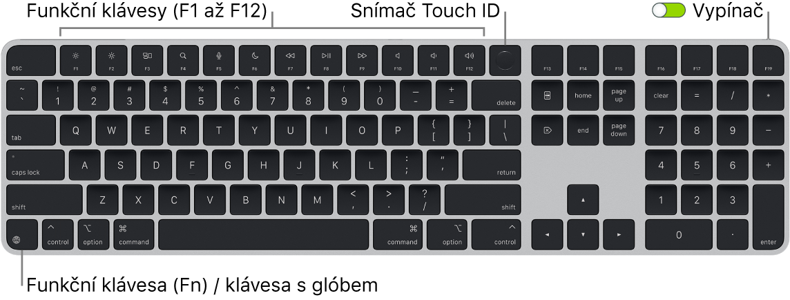 Klávesnice Magic Keyboard s Touch ID a numerickou klávesnicí, na které je vidět řada funkčních kláves a snímač Touch ID u horního okraje a funkční klávesa Fn / klávesa s glóbem vlevo dole.