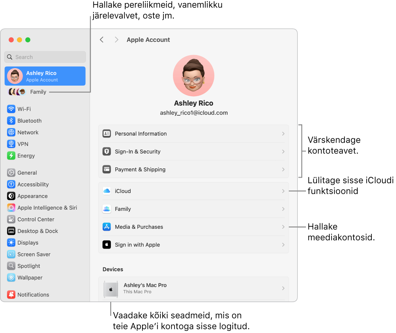 Apple’i konto seaded jaotises System Settings väljaviikudega kontoinfo värskendamiseks, iCloudi funktsioonide sisse või välja lülitamiseks, meediakontode haldamiseks ning jaotis Family, kust saate hallata pereliikmeid, vanemlikku järelevalvet, oste jm.