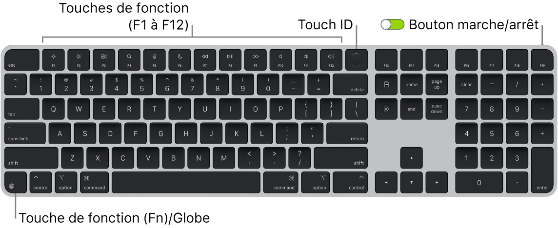 Le Magic Keyboard avec Touch ID et pavé numérique affichant le rang des touches de fonction et le capteur Touch ID en haut, ainsi que la touche Fonction (Fn)/Globe en bas à gauche.