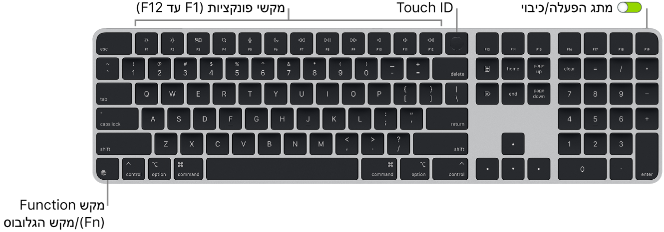 ה-Magic Keyboard עם ה-Touch ID ומשטח ספרות מציגה את שורת מקשי הפונקציה ואת ה-Touch ID לאורך החלק העליון, ואת מקש הפונקציה (Fn)/גלובוס למטה בצד.