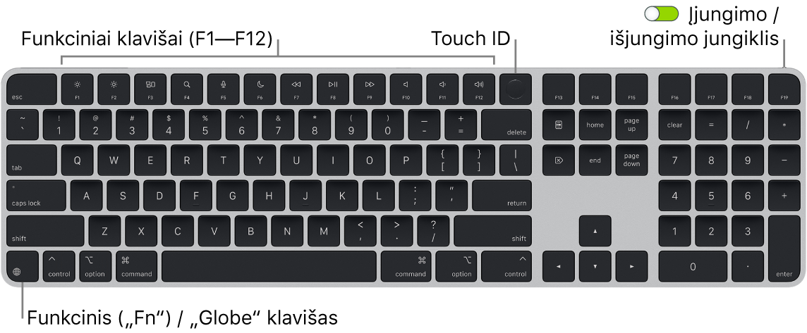 „Magic Keyboard“ su „Touch ID“ ir skaitmenų klaviatūra, viršuje matosi funkcinių klavišų eilė ir „Touch ID“, o apačioje kairėje – klavišas „Function“ („Fn“) / „Globe“.