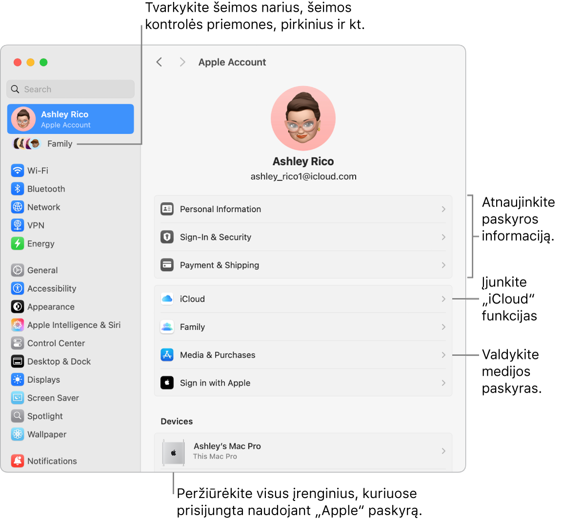 Skiltyje „Sistemos nustatymai“ pateikiami „Apple“ paskyros nustatymai su šaukiniais, skirtais atnaujinti paskyros informaciją, įjungti arba išjungti „iCloud“ funkcijas, tvarkyti medijos paskyras, ir „Šeima“, kur galite tvarkyti šeimos narius, tėvų kontrolę, pirkinius ir kt.