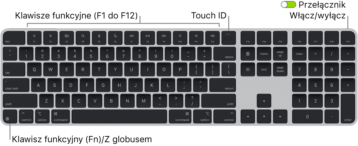 Klawiatura Magic Keyboard z Touch ID oraz klawiaturą numeryczną. Na górze znajduje się rząd klawiszy funkcyjnych oraz czytnik Touch ID, natomiast w lewym dolnym rogu widoczny jest klawisz funkcji (Fn)/klawisz globu.