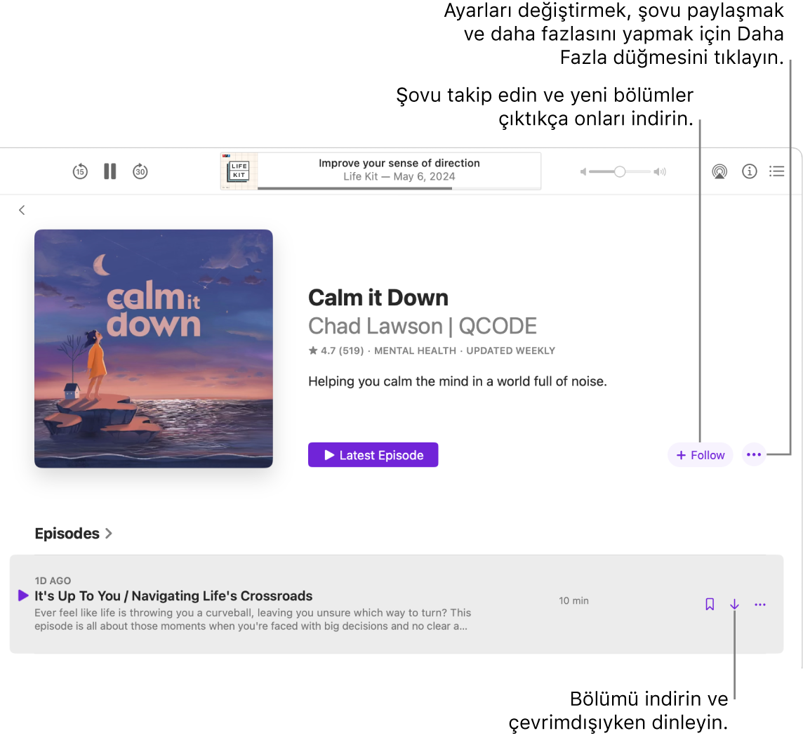 Bir podcast bölümünü gösteren Podcast’ler penceresi. Belirtme çizgileri İndir, Takip Et ve Daha Fazla düğmelerini gösteriyor.