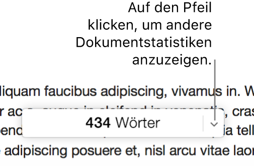 Das Einblendmenü „Dokumentstatistiken“ mit der Wortanzahl eingeblendet.