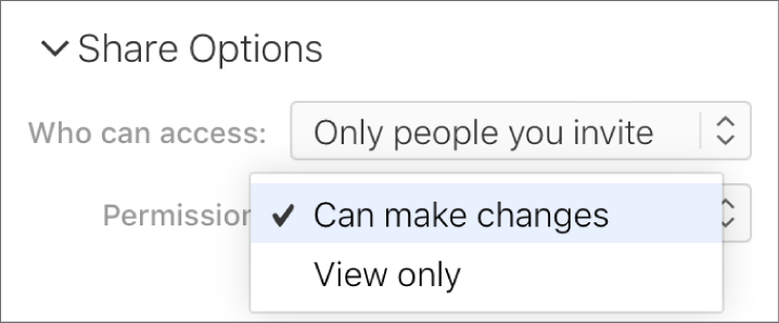 The Permission pop-up menu under Share Options is open, with options that allow people to make changes to a document, or only view it.