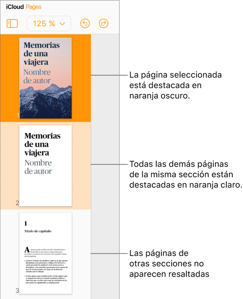 Miniaturas de páginas en la barra lateral izquierda con la página seleccionada resaltada en naranja oscuro y otra página de la misma sección resaltada en naranja claro. Una página de una sección diferente no aparece resaltada por detrás.