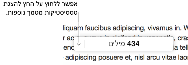 התפריט הקופץ של נתוני המסמך מציג את ספירת המילים.