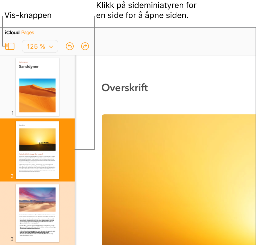 Miniatyrsider-visningen til venstre på skjermen der en side er valgt. Vis-knappen er i verktøylinjen over miniatyrbildene.