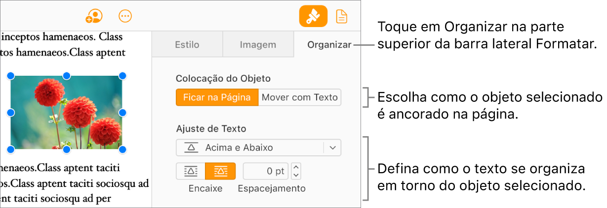 Uma imagem é selecionada no corpo do documento; a aba Organizar da barra lateral Formatar mostra que o objeto está definido como Permanecer na Página com quebra de texto acima e abaixo do objeto.