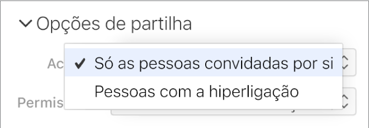 O menu pop-up “Permissão de acesso” nas "Opções de partilha”.