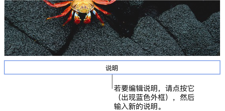 占位符说明“说明”出现在照片上方；说明字段周围的蓝色外框表示已选中。