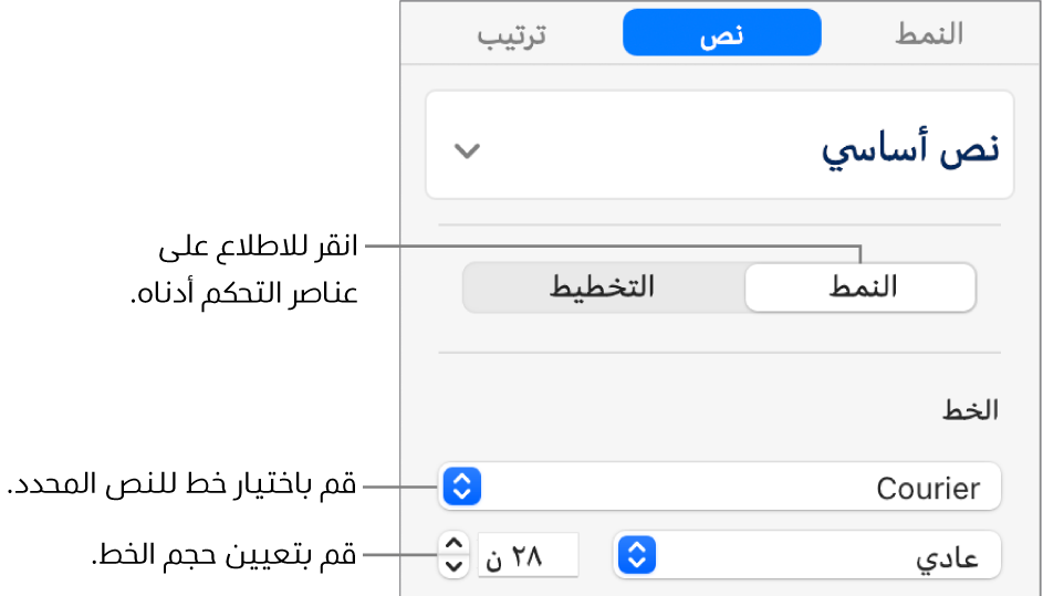 عناصر التحكم في النص في قسم النمط من الشريط الجانبي لإعداد الخط وحجم الخط.