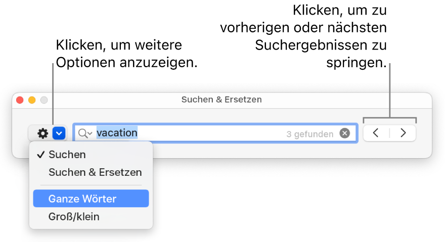 Das Fenster „Suchen & Ersetzen“ mit dem Einblendmenü, in dem Optionen zum Suchen, Suchen und Ersetzen, Suchen ganzer Wörter und Suchen unter Berücksichtigung der Groß-/Kleinschreibung zu sehen sind. Mit den Pfeilen auf der rechten Seite kann zu den vorherigen bzw. nächsten Suchergebnissen gesprungen werden.