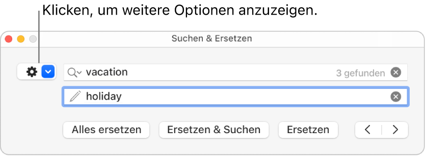 Das Fenster „Suchen & Ersetzen“ mit einer Beschreibung zum Einblendmenü, das weitere Optionen anzeigt.