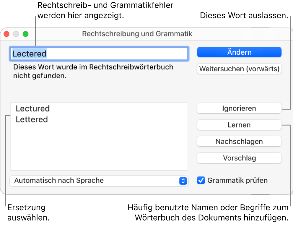 Das Fenster „Rechtschreibung und Grammatik“