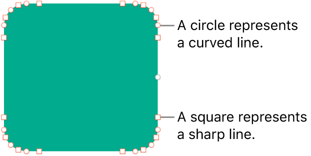 A shape with editable points.